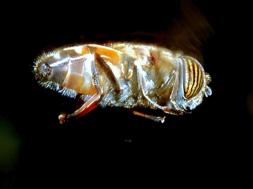 Immagini prima dell''intervallo